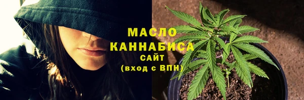 сатива Бронницы