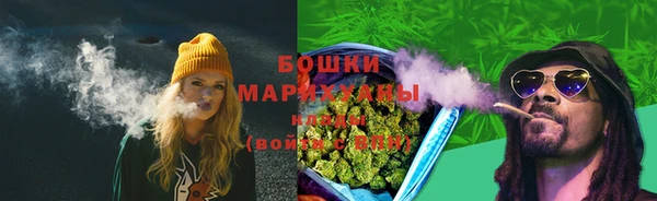 сатива Бронницы