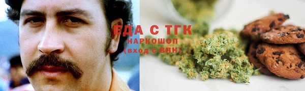 спиды Бородино
