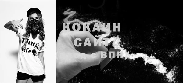 спиды Богданович