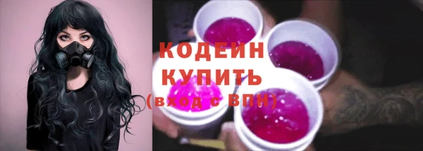 спиды Богданович
