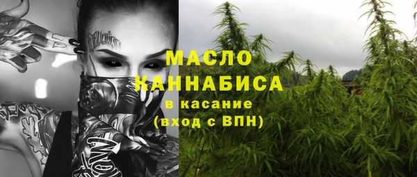 спиды Бородино