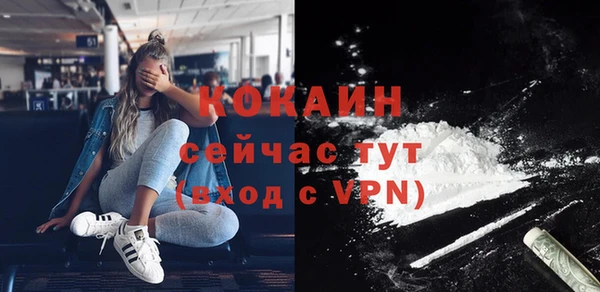 спиды Богданович