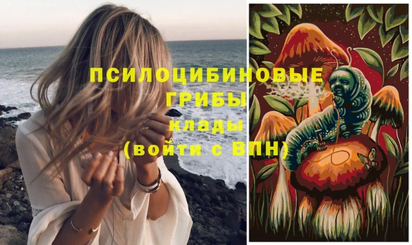 сатива Бронницы