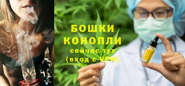 спиды Богданович