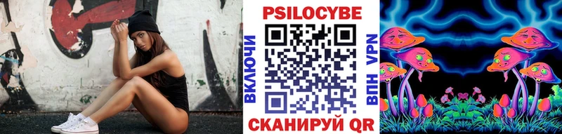 Псилоцибиновые грибы Cubensis  где купить   Чкаловск 